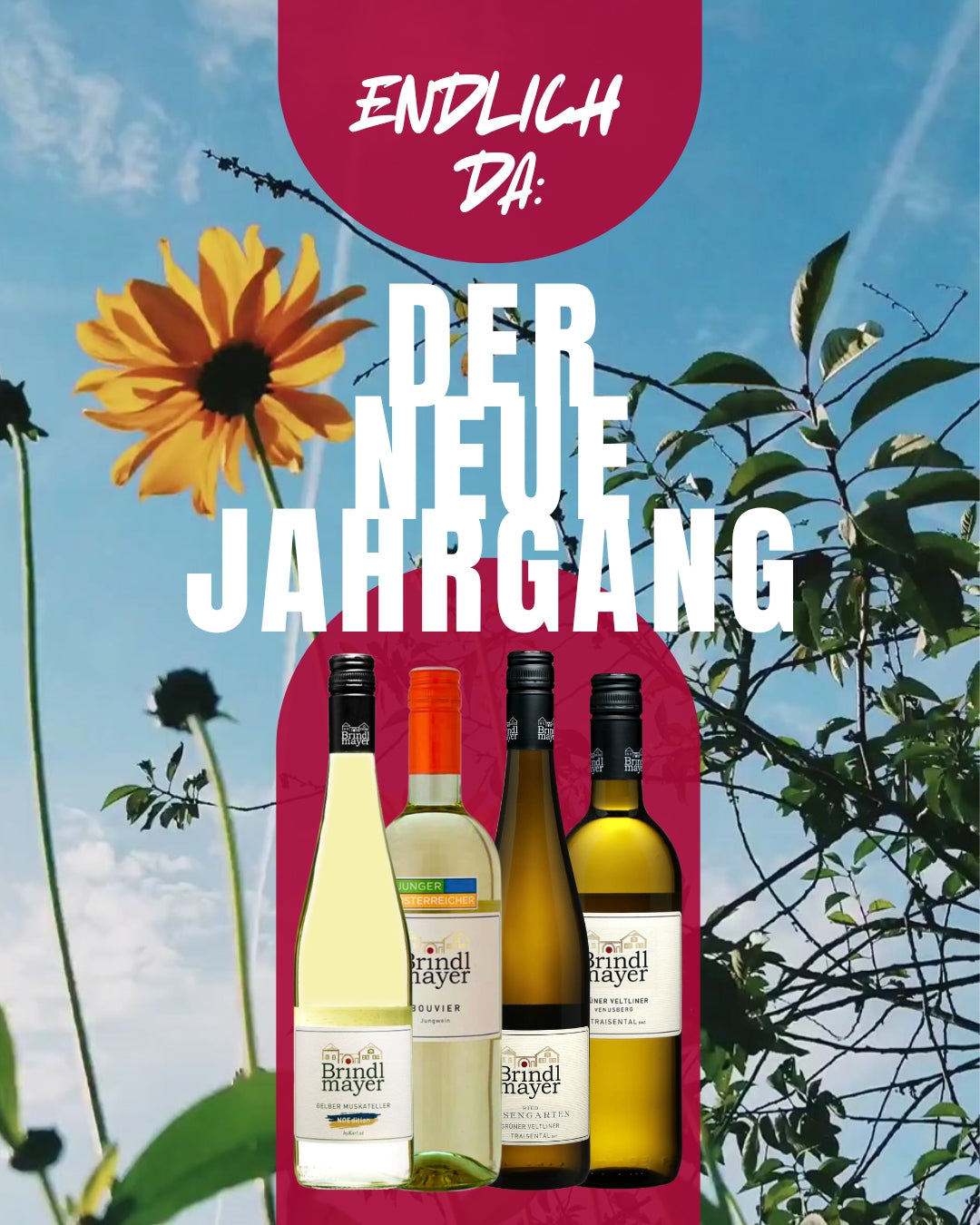 Der neue Jahrgang ist da!