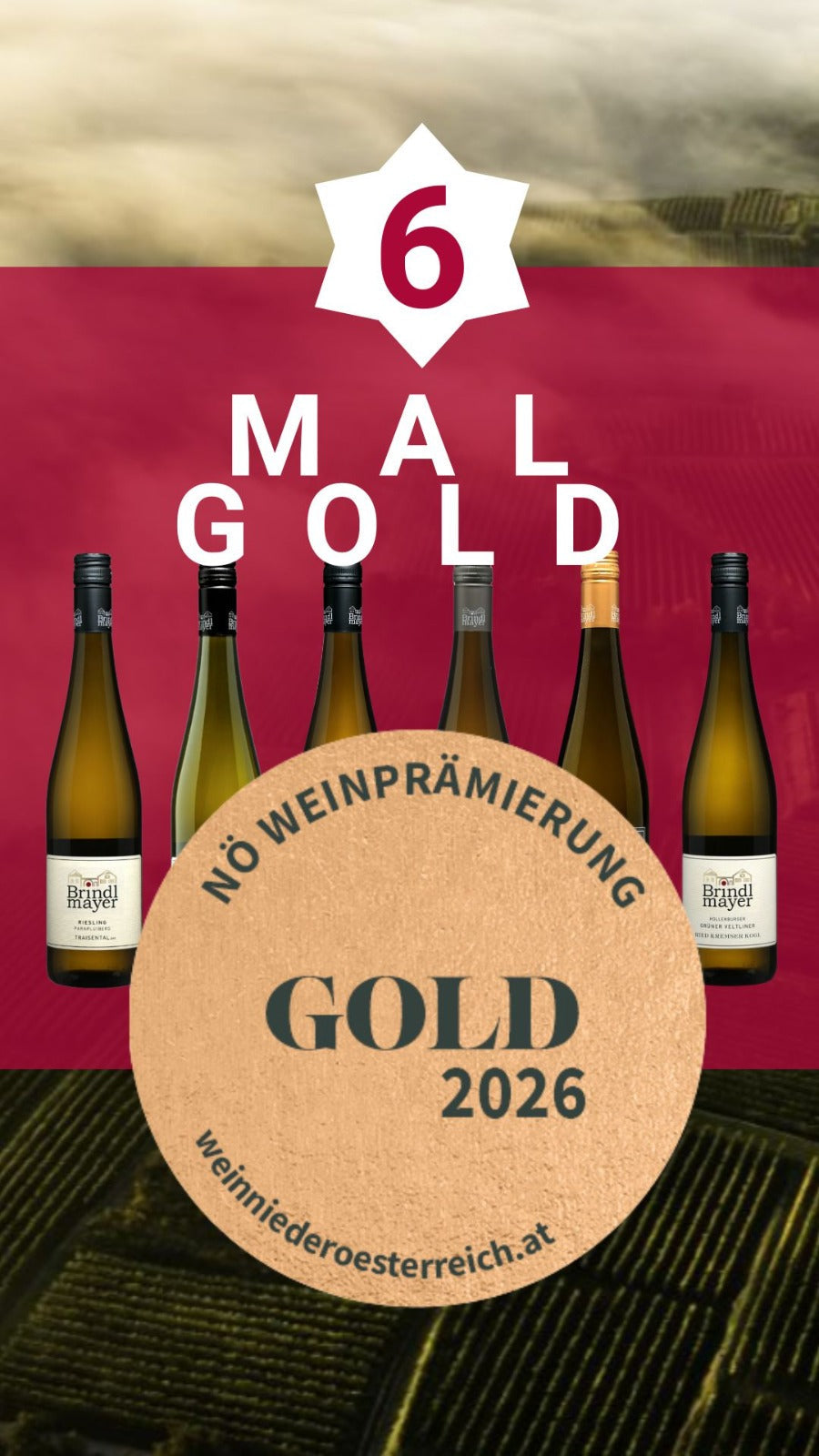 6-mal GOLD für das Weingut Brindlmayer!